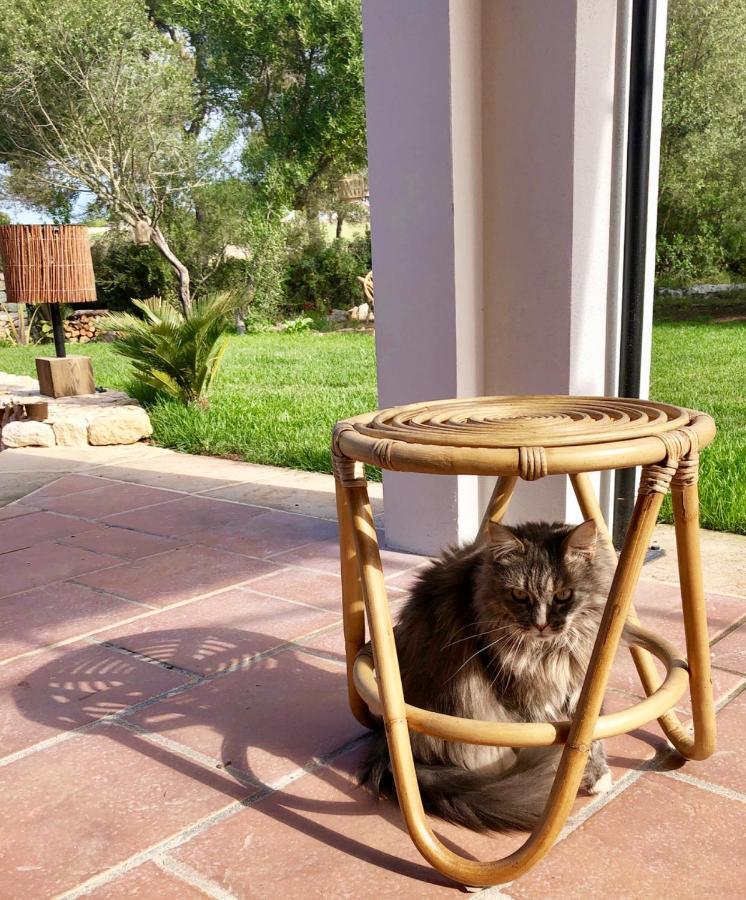La Casa Menorca Hotell Ferreries Eksteriør bilde